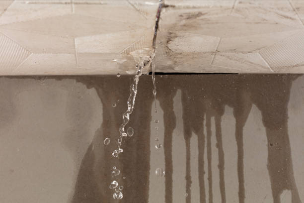 Professional Water Extraction technician working in Kelleys Island, OH